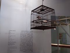 -上海当代艺术博物馆