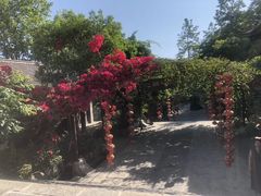 -天龙八部武侠城