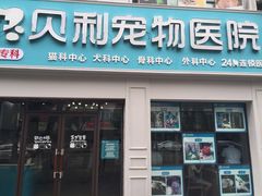 -贝利宠物医院·骨科·眼科·肿瘤转诊中心(南坪诊疗中心)
