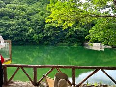 -龙道沟景区