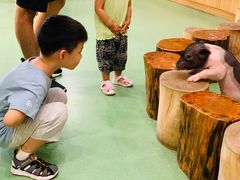 -藦茜花园宠物主题亲子互动体验馆(国顺东路店)