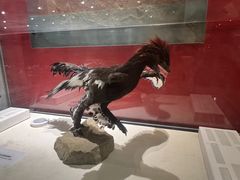 -国家自然博物馆