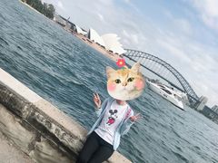 -悉尼歌剧院