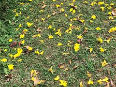 -云溪植物园