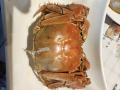 大闸蟹-济南蓝海御华大饭店·蓝钻国际美食自助百汇(山东书城店)