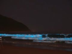 -西涌国际滨海旅游区