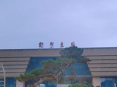 -郑州东站