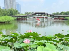 -西海子公园