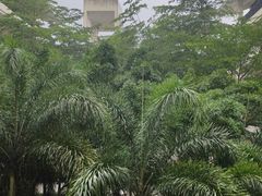 -禾谷韩餐(热带海洋学院店)