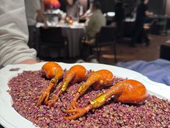 -秀儿四九城·新京菜(亚运村鸟巢店)