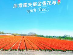 -库肯霍夫公园