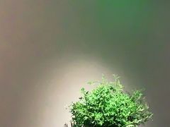 -山里亲戚(淞虹路店)
