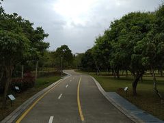 -聚龙山公园