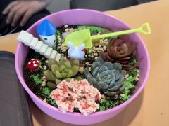 -北京之星奔驰4S店(亦庄店)