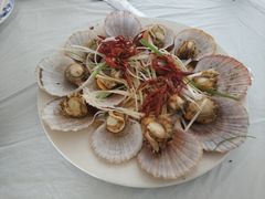 油泼扇贝-1910老鲁味海鲜·戳子肉·青岛菜(金沙滩店)