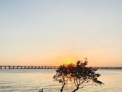 -宝安西湾红树林湿地公园
