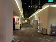 -嘉华国际影城(学清路店)