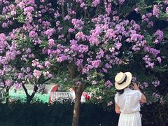 -杭州城北体育公园