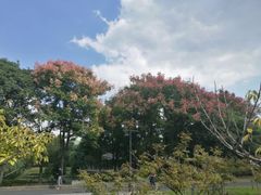 -江南大学(蠡湖校区)