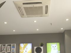 -关爱宠物医院·猫科中心·消化科(滨湖万达分院)