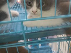 -AEON永旺(东方宝泰店)