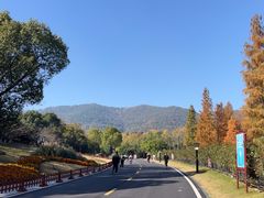 -习家池