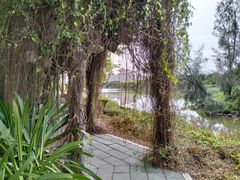 -华侨大学(厦门校区)