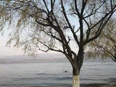 -西昌邛海湿地