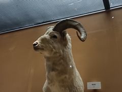 -天津自然博物馆