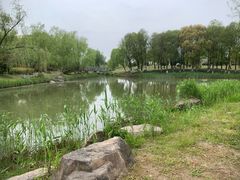 -九科绿洲
