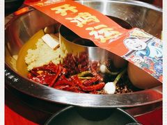 -谭鸭血老火锅(万象九宜城店)