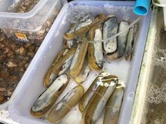 -拉威海鲜市场
