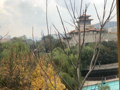 -教师之家赵家羊汤馆(东青龙街店)