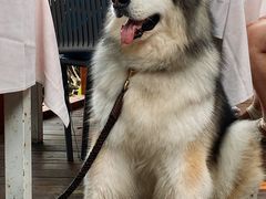 -美人鱼悬崖海景餐厅(鹿嘴山庄店)