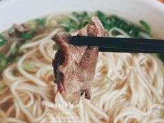 -夏雪花·手工拉面(南油店)