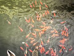 -北京市劳动人民文化宫(太庙)