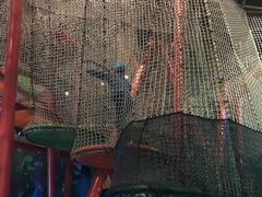 -珠海横琴国家地理探险家中心(创新方)