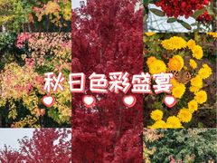 -黛秀湖公园