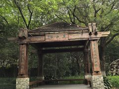 -上海吴淞炮台湾国家湿地公园