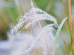 -白塘生态植物园