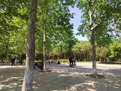 -济南国际园博园