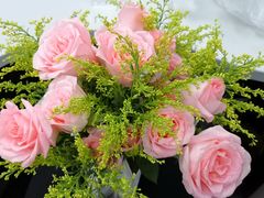 -长椿街(地铁站)