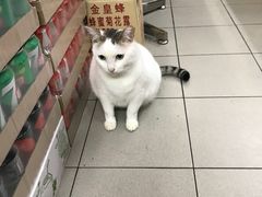 -新记餐厅(香槟大厦店)