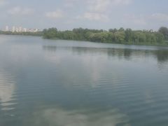 -丁香湖公园