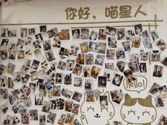 -楼上猫咖(罗湖店)