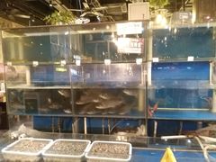 水产区-小俩口烧烤东北菜(双井店)