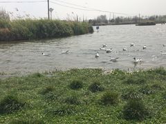 -呈贡滇池生态湿地公园