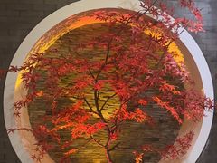 -金狮麟·新豫菜(金码大厦店)