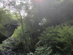 -藏龙百瀑风景区