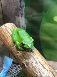 -酷嗒动物文化乐园(cutezoo西溪乐天城店)